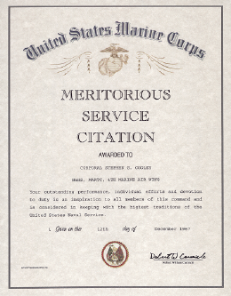 Meritorious_service_citation.png (496924 bytes)