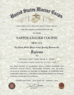 sapper-usmc-navy.png (830326 bytes)