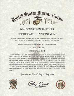 usmc-nco-ap.png (929018 bytes)